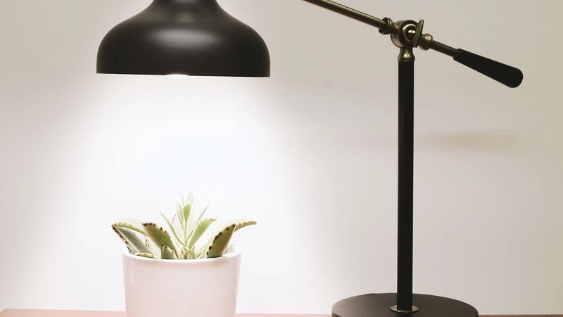 Свет вернулся во все дома на Сахалине