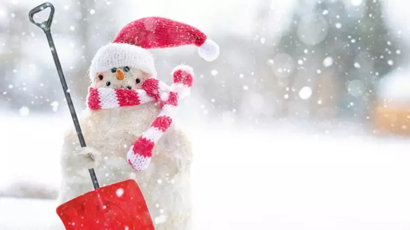 Синоптики сообщили, каким будет декабрь на Сахалине