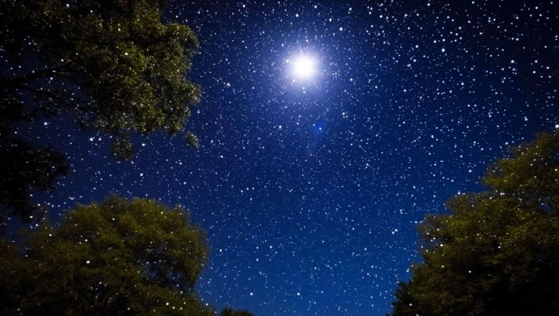 Гороскоп на 26 июля 2025 года для всех знаков зодиака