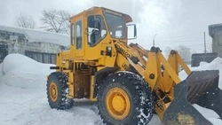 Сахалинка сдала участок в аренду и продала из мести погрузчик арендатора