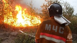 Высокую пожарную опасность ожидают в Тымовском районе 24 и 25 июля