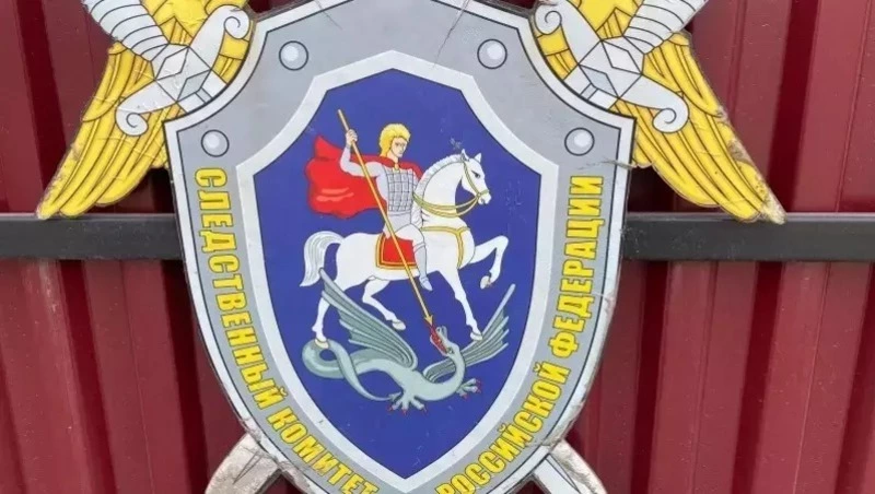 В Южно-Сахалинске завели дело против директора, задолжавшего сотруднику 108 тысяч