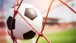 Турнир по мини-футболу пройдет на Сахалине ко Дню народного единства