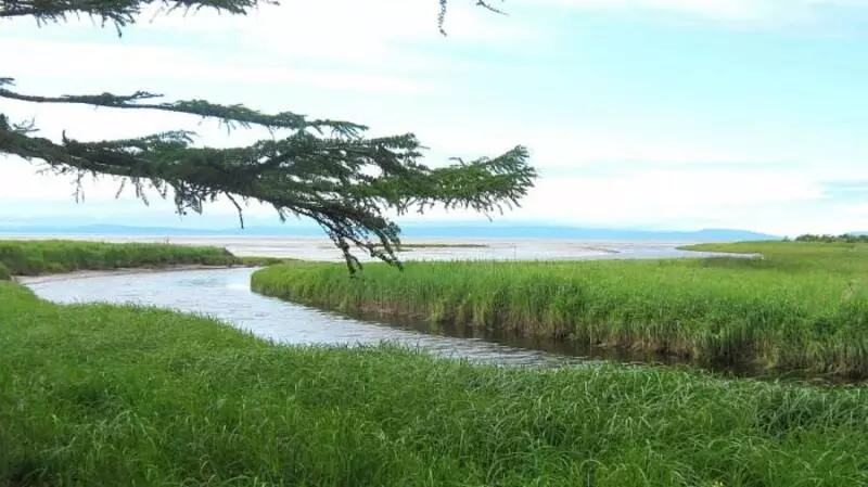 Заказник «Тундровый» на время закрыли для людей