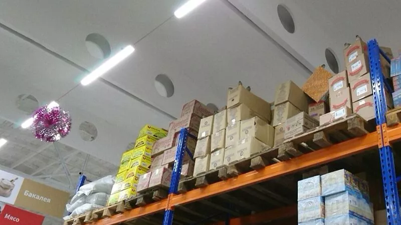 Воробьи в продуктовом дискаунтере Южно-Сахалинска живут законно – Роспотребнадзор