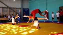 Фестиваль самбо провели в Макарове в рамках партпроекта «Единой России»