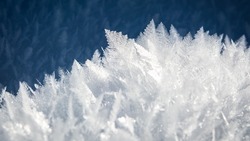 Январь на Сахалине стал самым холодным за 10 лет
