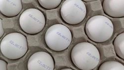 Птицефабрика «Островная» возобновила продажи дешевых яиц