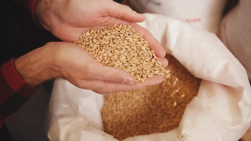 Церковный праздник 15 ноября 2024: что нельзя делать в этот день, приметы