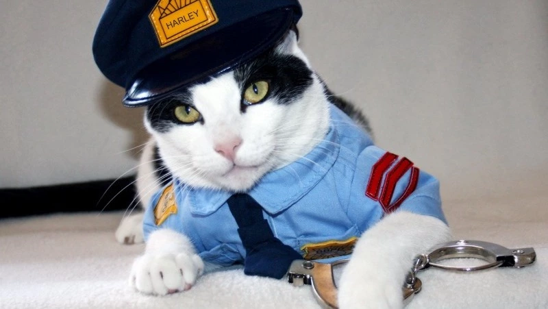 Полицейские передали в суд уголовное дело о двух наркокурьерах с Сахалина