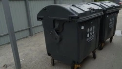 Ультразвук против крыс: как борются с вредителями на мусорках в Южно-Сахалинске