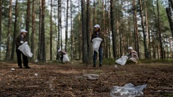 Жителей Южно-Сахалинска пригласили на масштабную уборку — если погода не помешает