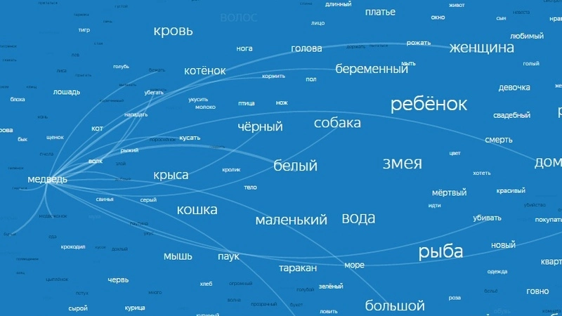 Медведи, любовники и опарыши: что чаще всего снится сахалинцам