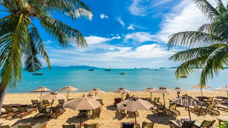 Мошенница-турагент из Южно-Сахалинска получила реальный срок, но с отсрочкой из-за детей