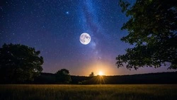 Гороскоп на 30 июля 2025 года для всех знаков зодиака