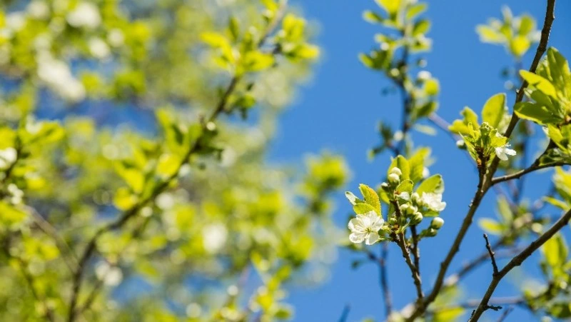 Церковный праздник 12 мая 2023: что нельзя делать в этот день, приметы