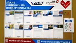 ОНФ на Сахалине предложил отметить фишками желаемые и нежелаемые поправки в Конституцию