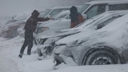 Не верьте календарю: на Сахалин надвигается неделя снежной непогоды