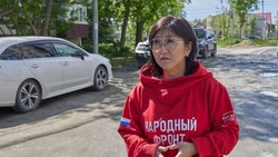 Мнения: губернатор Лимаренко выстроил качественную и системную работу в сфере благоустройства