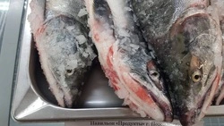 Горбушу по 95 рублей за килограмм привезли в Поронайск 29 августа 
