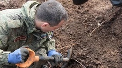 Глава «Поискового движения России» на Сахалине подвел итоги работы в 2023 году