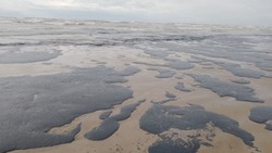 ЧП с нефтетанкерами: что известно о последствиях катастрофы в Керченском проливе