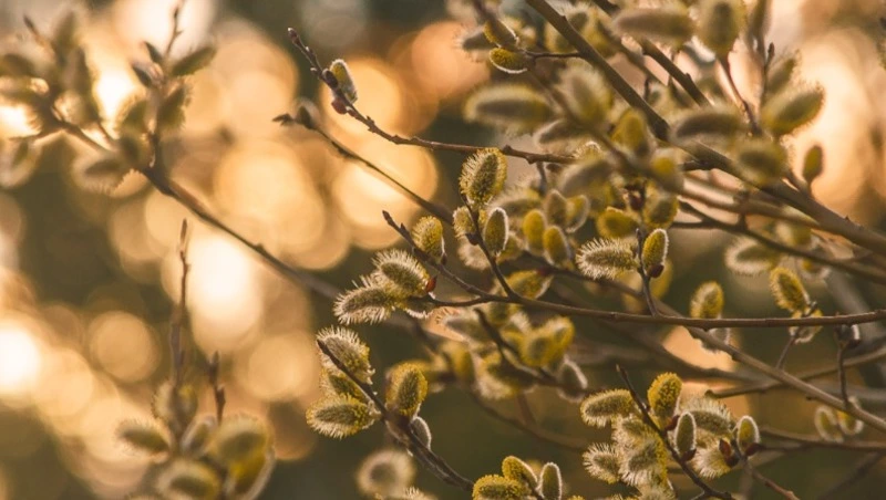 Трагедия в порту и внезапная метель: новости апреля 2023 года в Сахалинской области