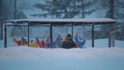 Возобновлено движение автобусов по маршруту Троицкое — Новотроицкое