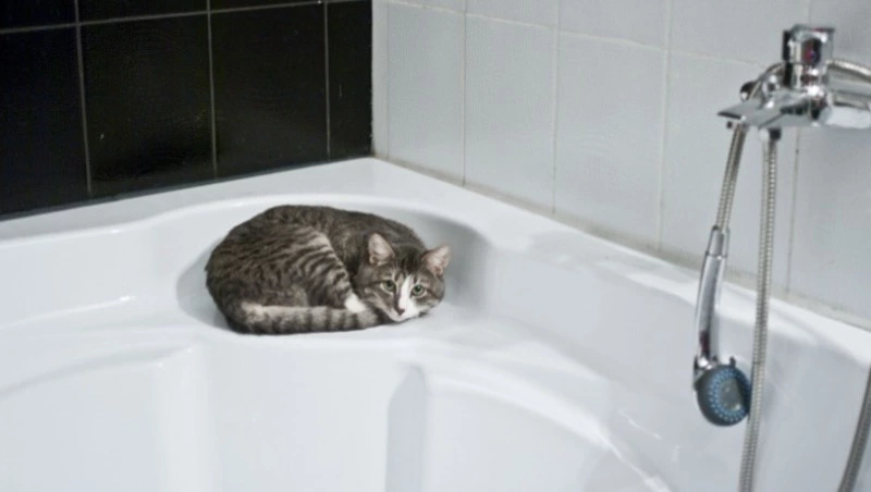 Жителей Южно-Сахалинска ждут перебои с водой 31 июля и 1 августа