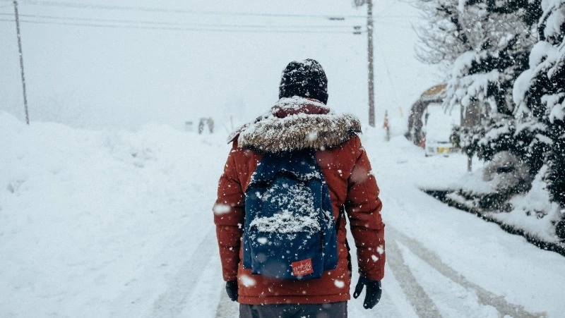 Сильный снег и метель: погода в Сахалинской области на неделю с 24 по 30 декабря