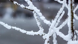 Снег, метель и мороз: погода в Сахалинской области на неделю с 21 по 27 января