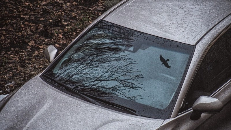 Житель Холмска отомстил за парковку у подъезда, сбросив стакан на машину соседки