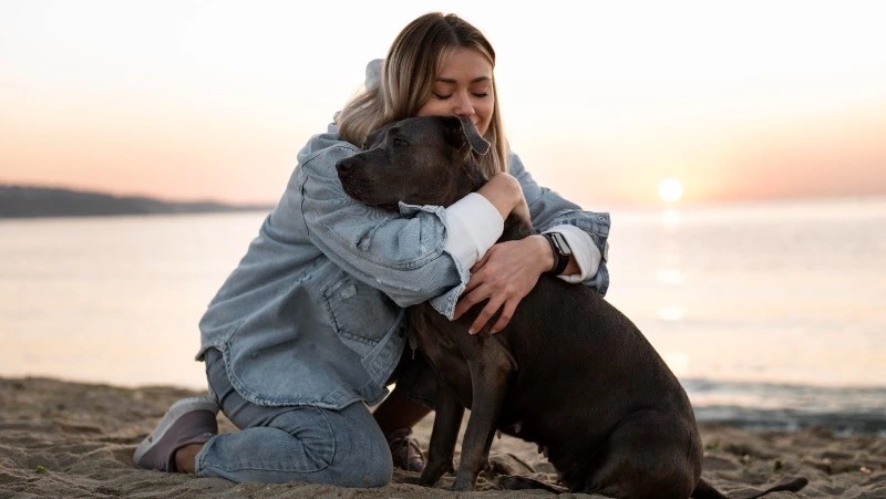 Причины ранней смерти собак озвучили кинологи жителям Сахалина