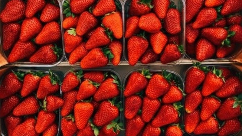 Выбор сорта клубники