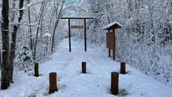 Столбики от автомобилистов установили на экотропе «Еланька» в Южно-Сахалинске