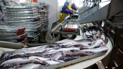 Форум на Сахалине соберёт учёных и губернаторов