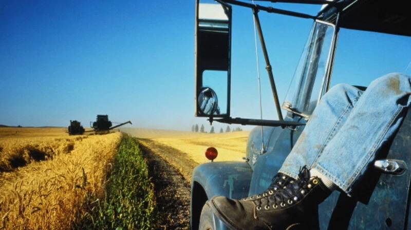 Совхоз «Корсаковский» получил «двойку» за подготовку к весенним полевым работам