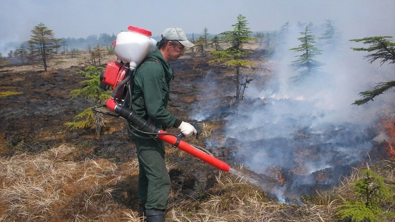 В сахалинских лесах убрали больше двух тысяч свалок
