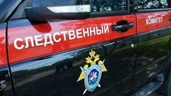 Следователи начали проверку после ДТП с гибелью ребенка в Южно-Сахалинске  
