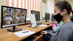 За объективностью проведения ЕГЭ на Сахалине следят 48 онлайн-наблюдателей