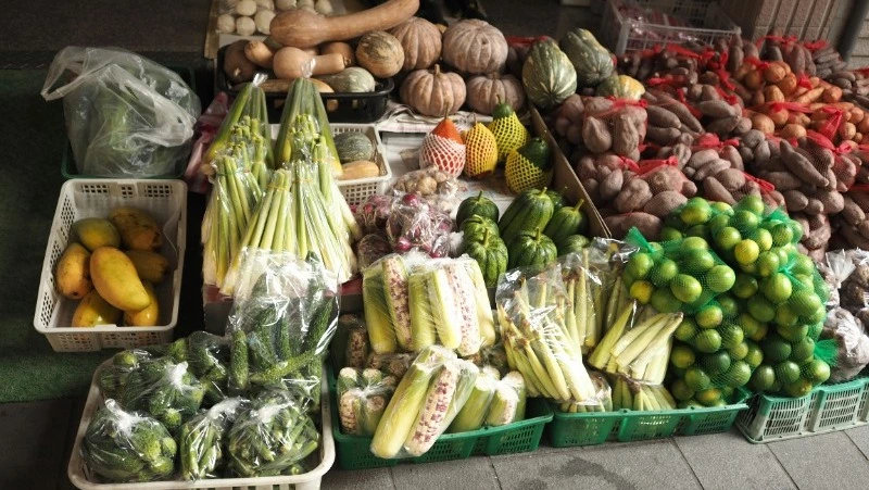 Жители Южно-Сахалинска могут продать излишки рыбы и кабачков