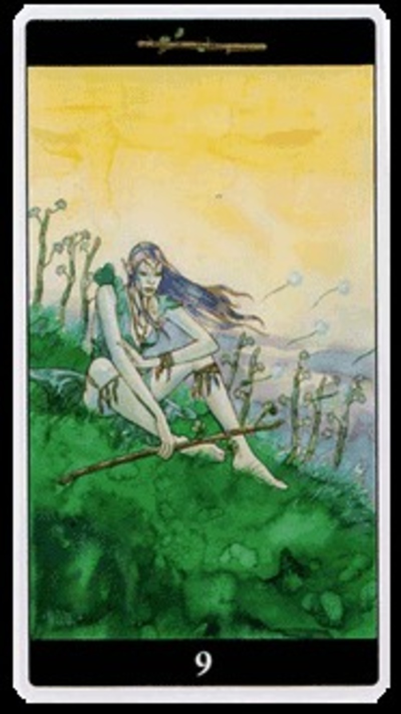 4 жезлов и 9 мечей. 9 Жезлов Таро. Таро Dream Enchantress галерея. Карта Таро девятка жезлов. Таро магия снов (Tarot of the Dream Enchantress).