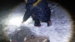 За неделю на Сахалине и Курилах браконьеров оштрафовали на свыше 82 тыс. рублей