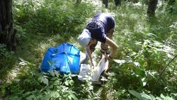 На Курилах нашли растения будущего