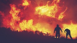 Защита Сахалина от лесных пожаров обойдется в полмиллиарда рублей