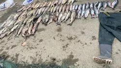 Браконьера с грузом красной рыбы поймали на юге Сахалина