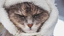 Без отопления на шесть часов останутся четыре улицы Южно-Сахалинска 28 ноября