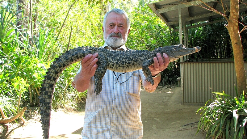 Горы, песни и цунами