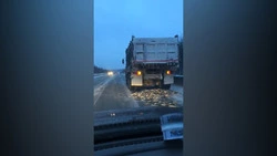 Трассу до Долинска засыпало свежей рыбой