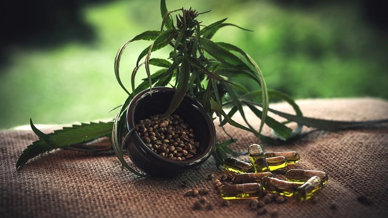 Конопляного агронома из Долинского района отправили на обязательные работы